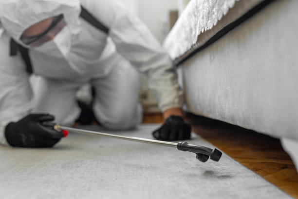 Professional Bed Bug Control technician working in Bellevue, OH
