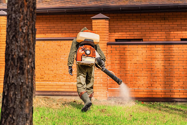Top rated local Bed Bug Control specialists in Bellevue, OH